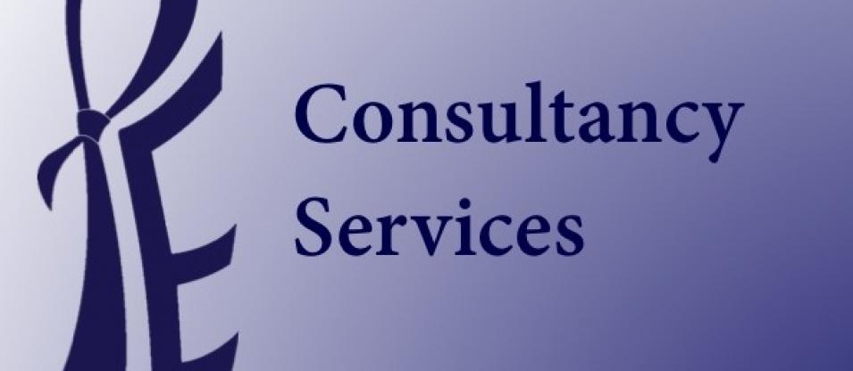 Consultancy Services