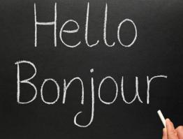 Mind Your Language